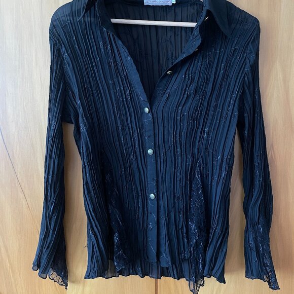 Vintage Pleated Sheer Blouse - Picture 1 of 6